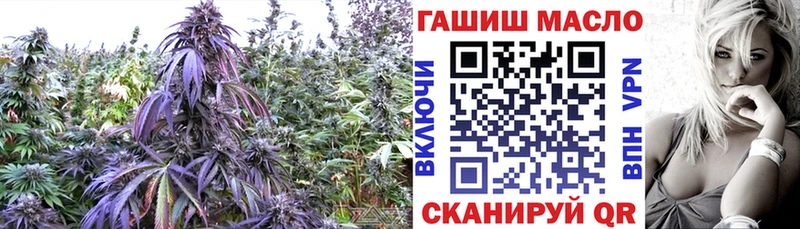 мега как войти  Фатеж  площадка наркотические препараты  ТГК THC oil 
